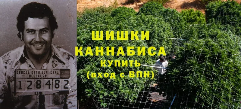 продажа наркотиков  Большой Камень  Бошки Шишки OG Kush 